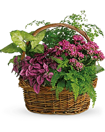 Black Petal's Secret Garden Basket - Black Petals