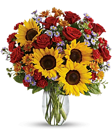 Pure Happiness By Black Petals - Black Petals