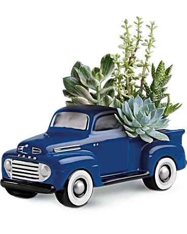 His Favorite Ford F1 Pickup by Black Petals - Black Petals