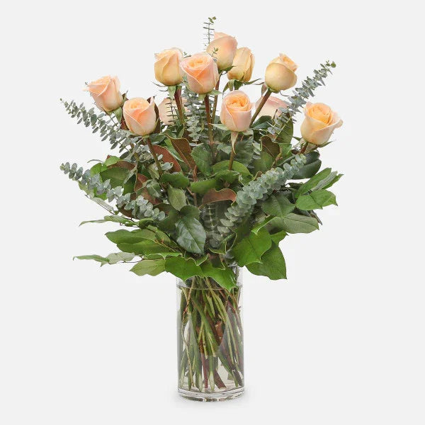 1-Dozen Peach Roses - Black Petals