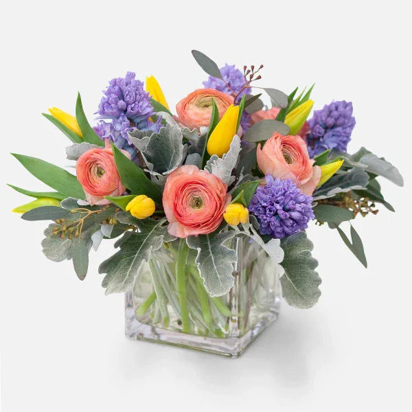 Whispers of Spring - Black Petals