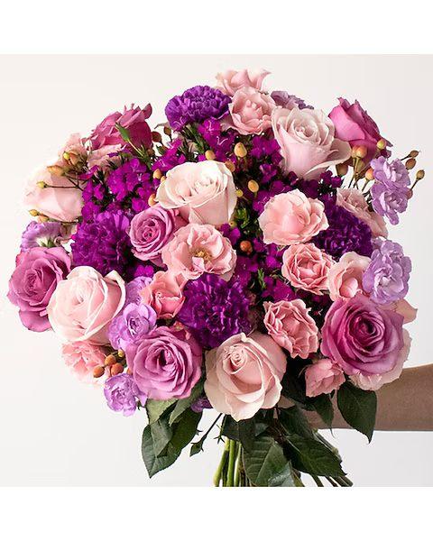 Blush Violets Bouquet - Black Petals