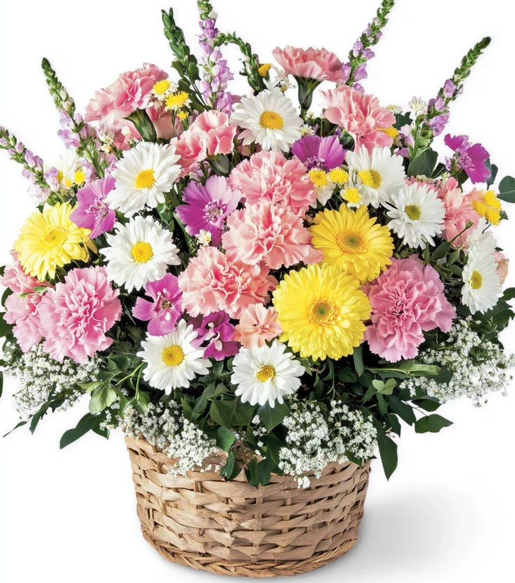 Vibrant and Lively Carnations - Black Petals