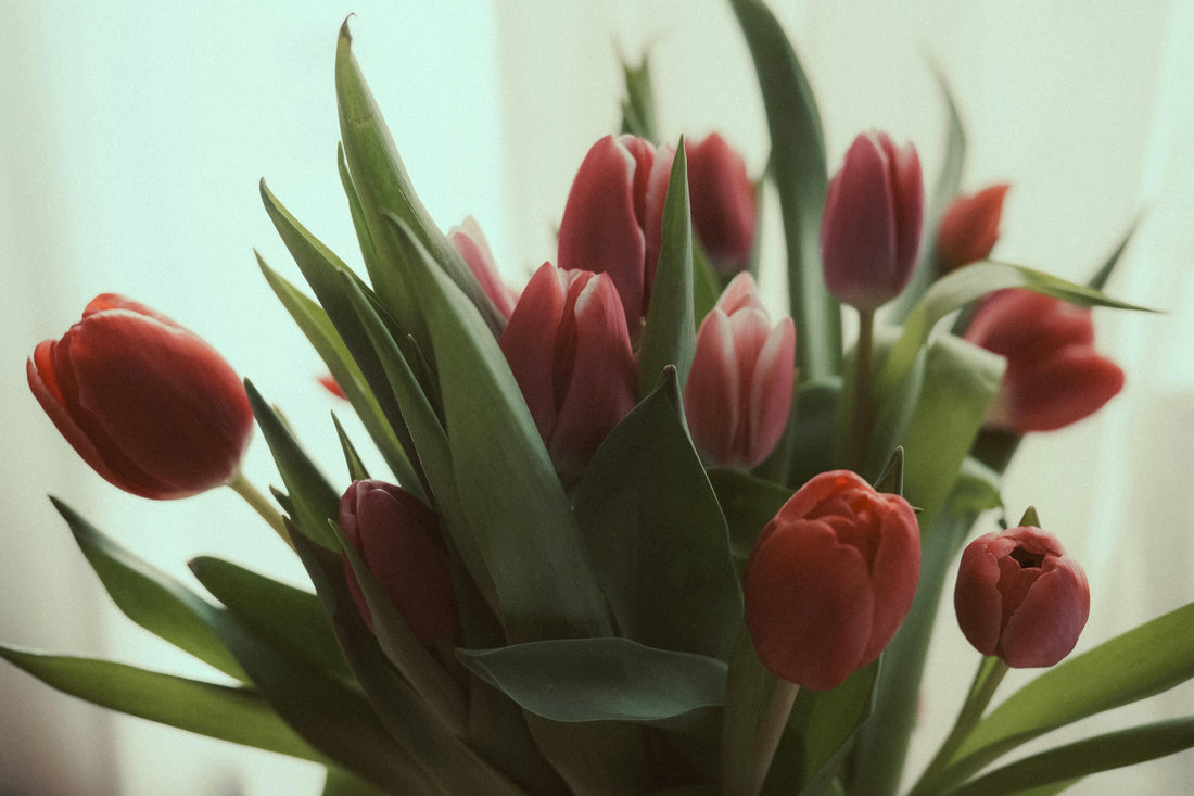 "Beautiful eco-friendly flower bouquet for Mother's Day, featuring organic, sustainably sourced blooms wrapped in biodegradable packaging