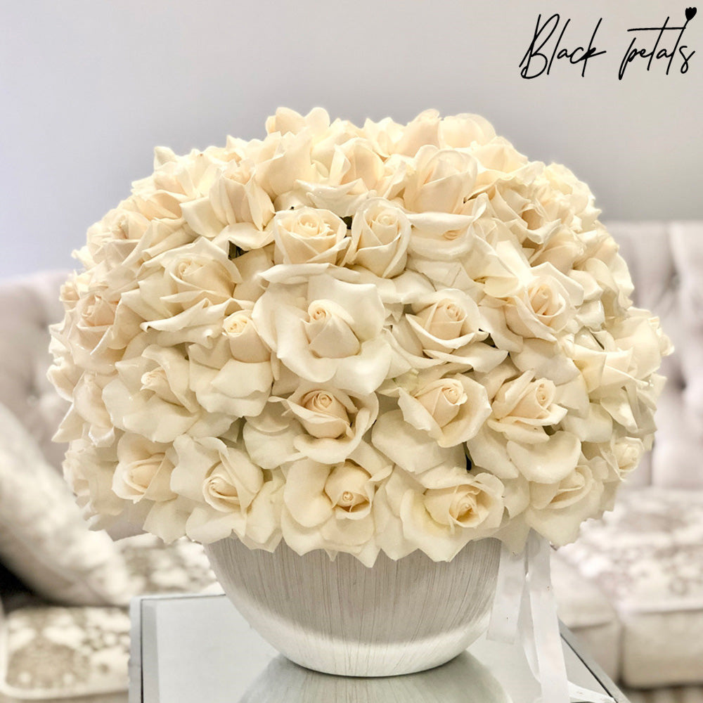 100 Delicately Reflexed Roses