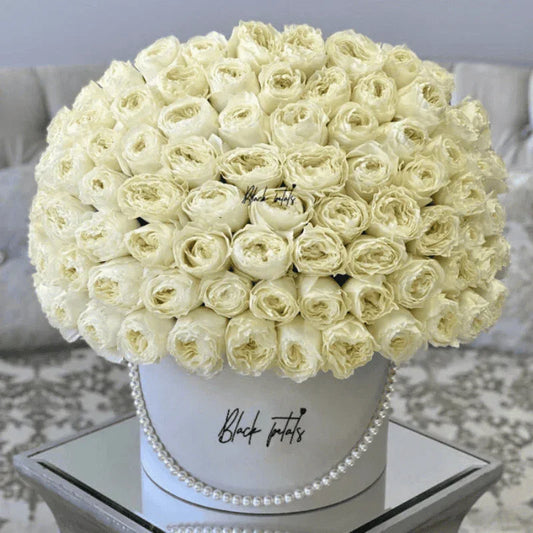 100 Black Petals Garden Roses - Black Petals