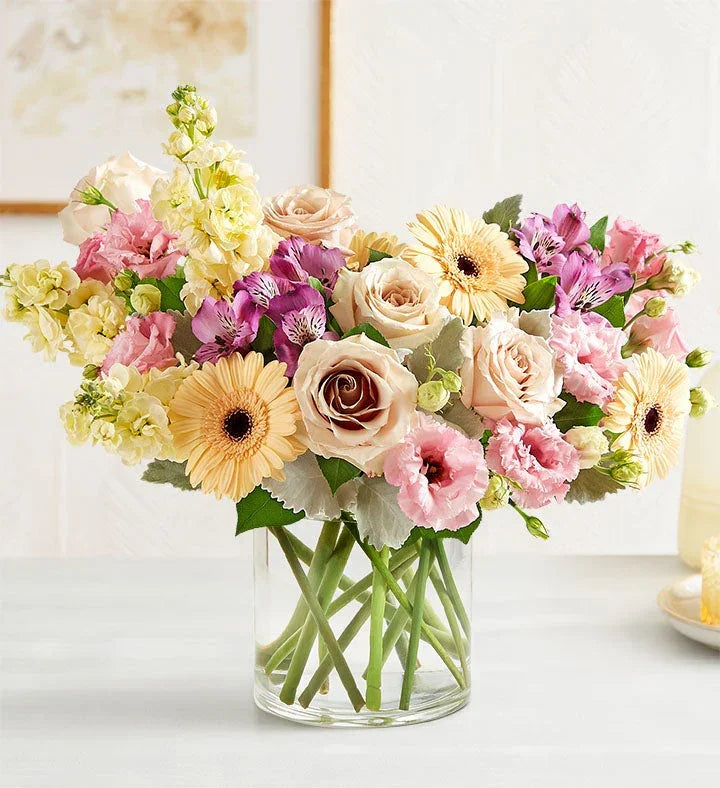 Nature’s Charm Carnation Mix - Black Petals