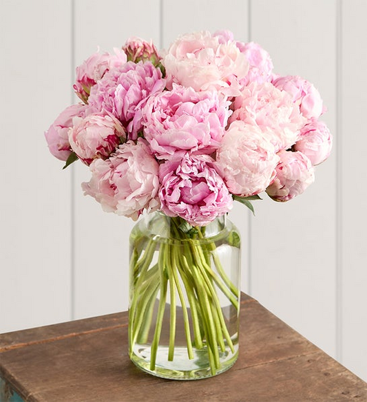 Precious Peony Bouquet by Black Petals