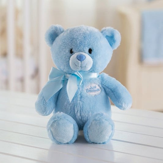 Soft blue plush teddy bear with a satin blue ribbon, perfect as a gift for newborn baby boys, birthdays, baby showers, hospital deliveries, anniversaries, Valentine's Day, and special occasions.