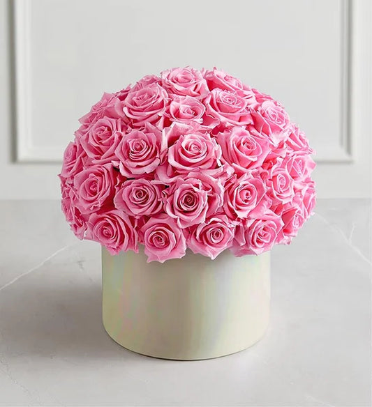Magnificent Roses Preserved Domani Pink Rose Iridescent