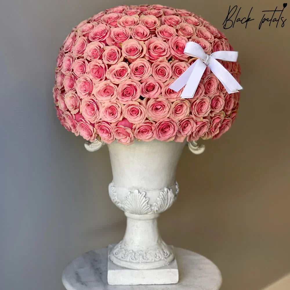 200 Signature Dome Shape Pink Roses - Black Petals