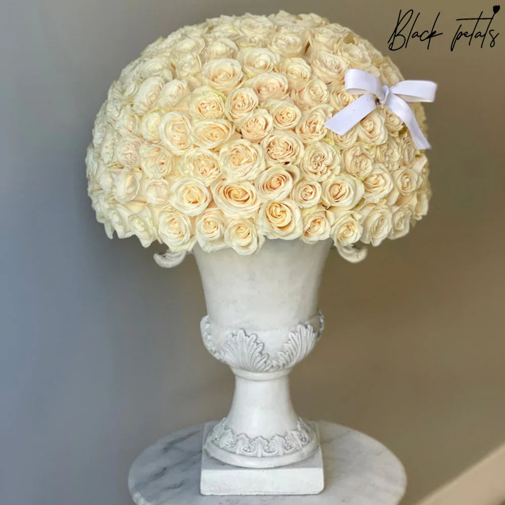 200 Signature Dome Shape White Roses - Black Petals