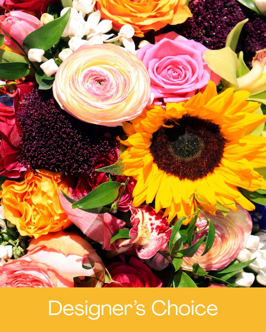Designer’s Choice Sunny Zinnia Mix - Black Petals