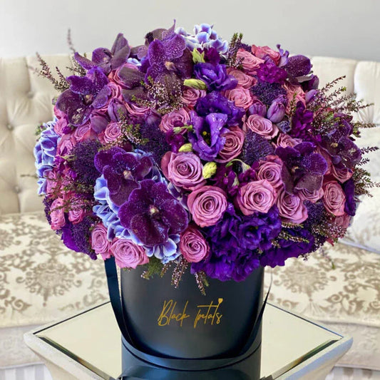 Purple Cali - Black Petals