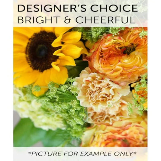 Designer’s Choice Sunny Zinnia Mix - Black Petals