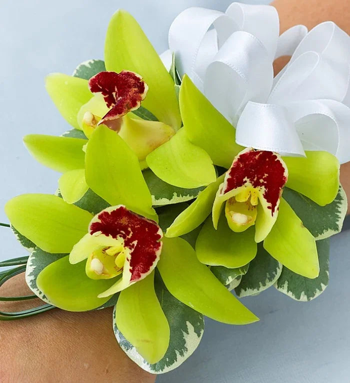 Green cymbidium orchid corsage with red accents and white ribbon on variegated leaves
