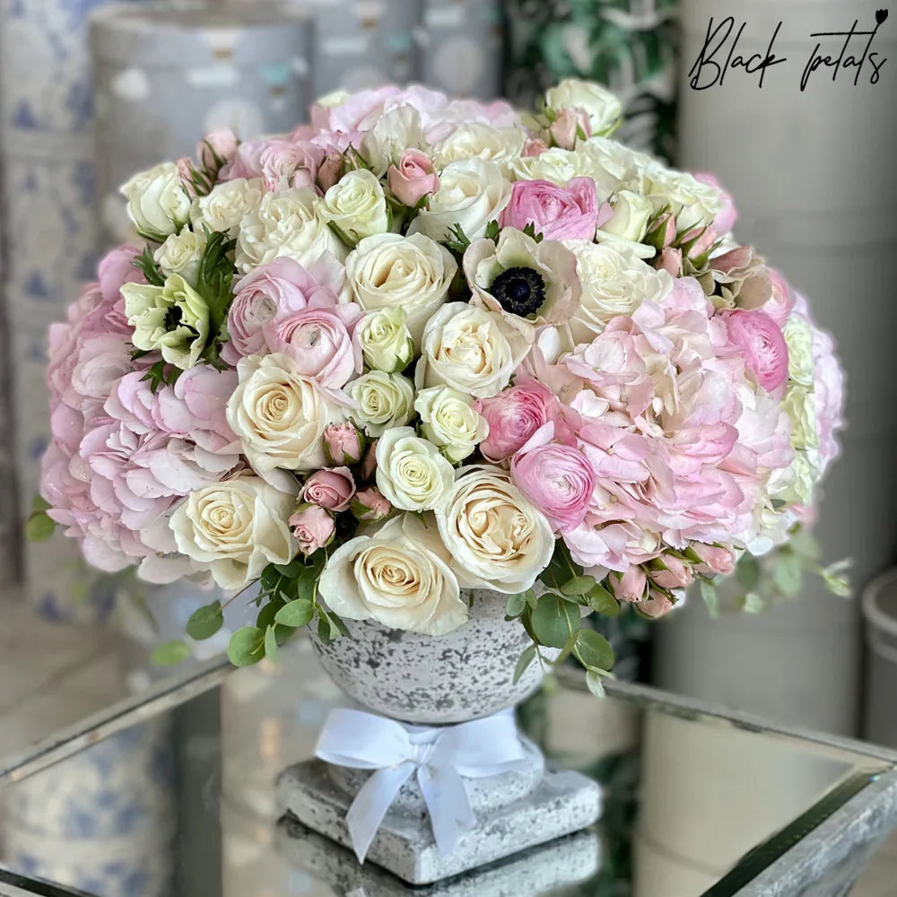 Blush Garden - Black Petals