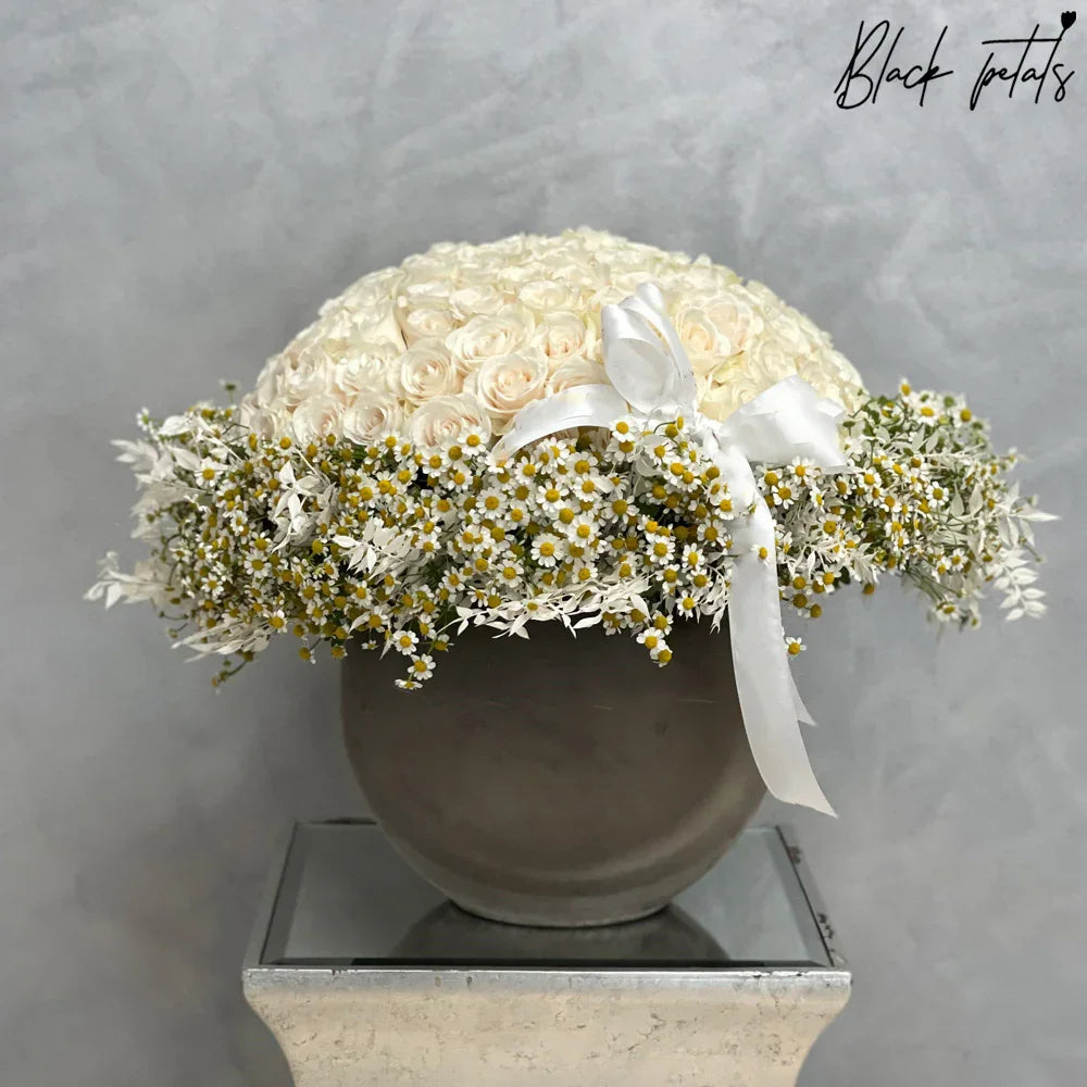 Chamomiles And 100 Roses - Black Petals
