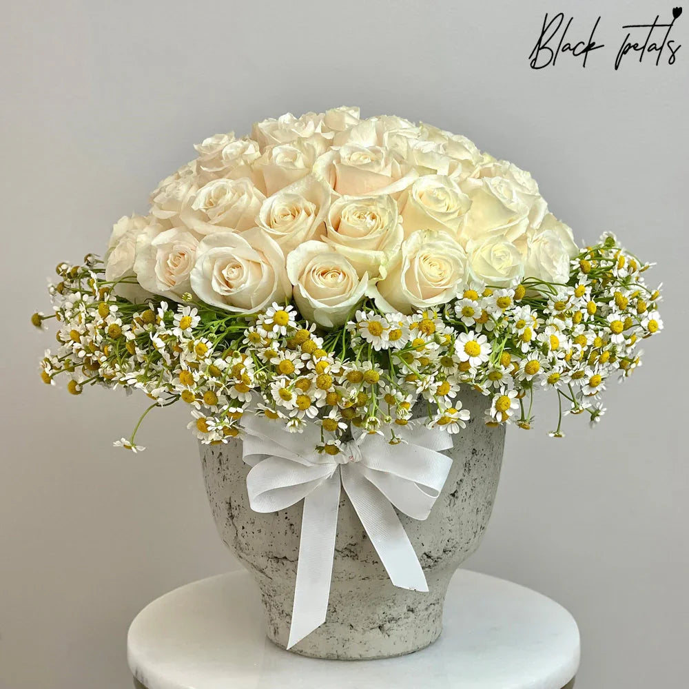 Chamomiles And 50 Roses - Black Petals