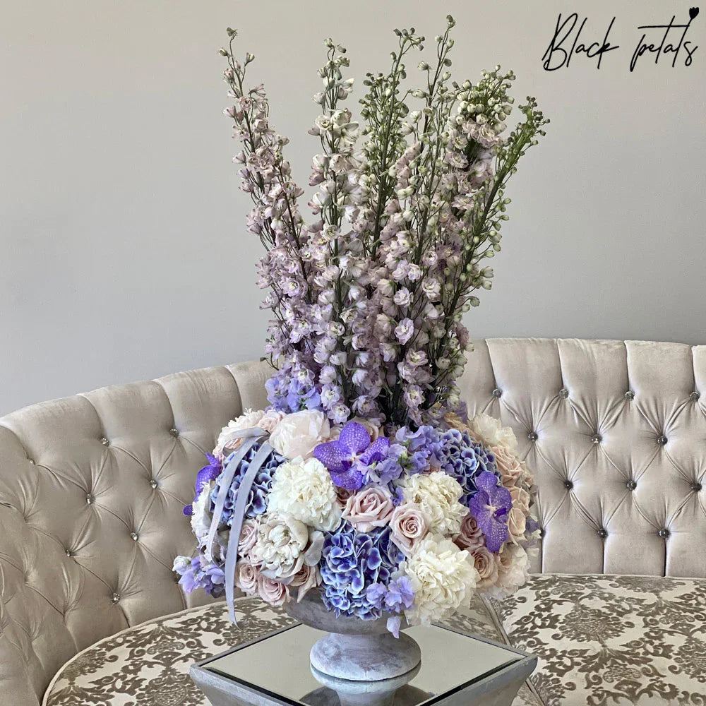 Delphinium Amour - Black Petals