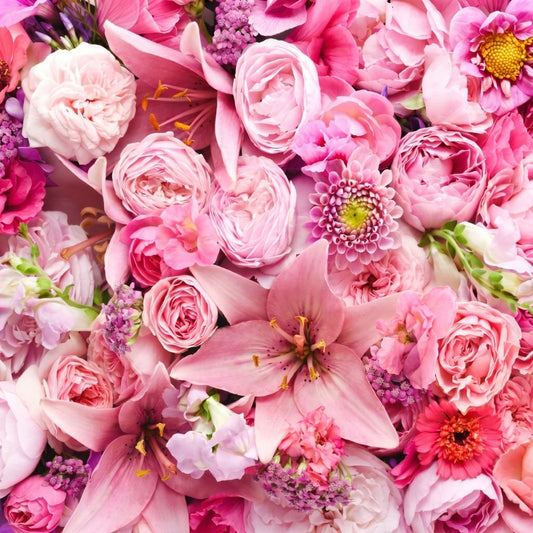Designer's Choice - Blush & Pink