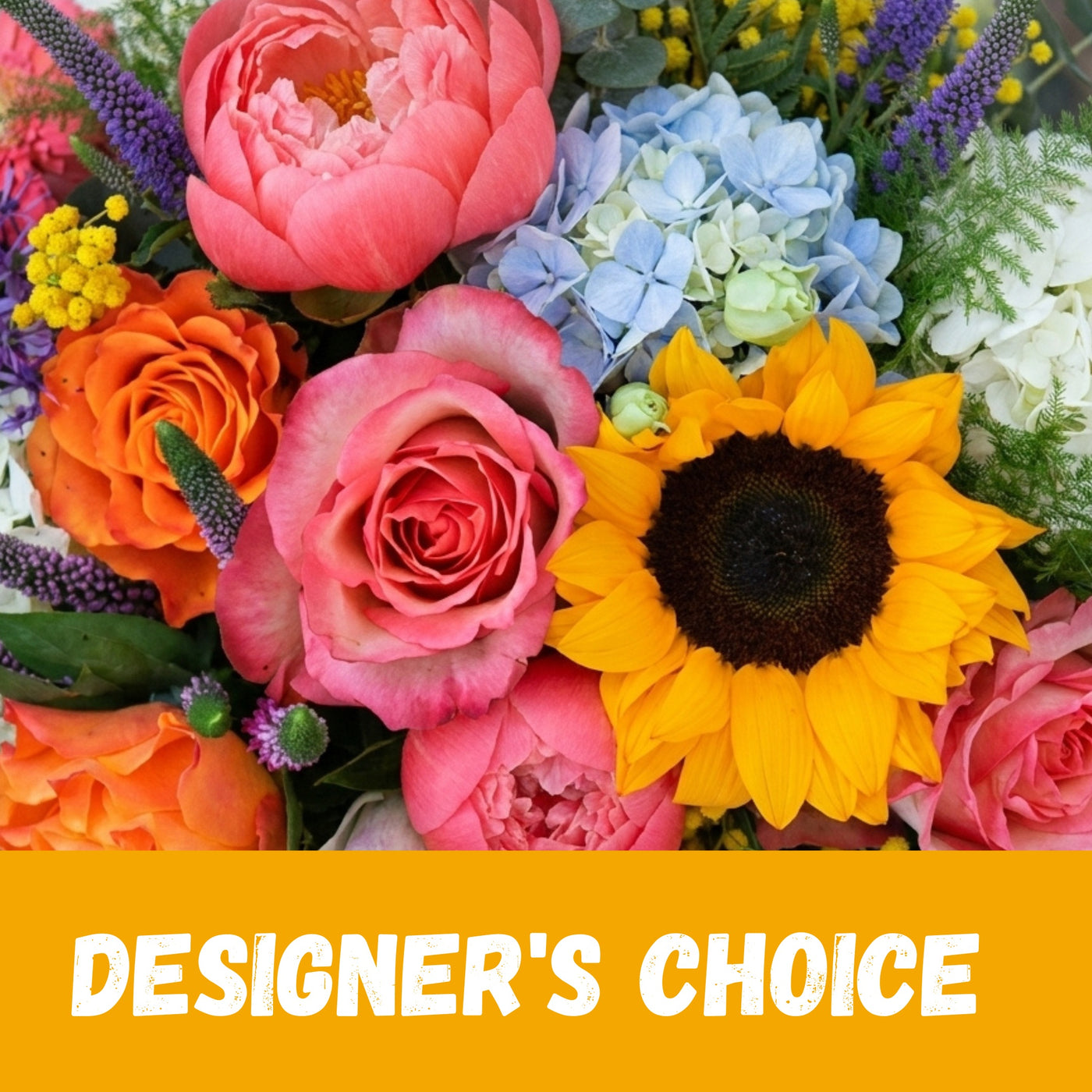 Designer's Choice Summer