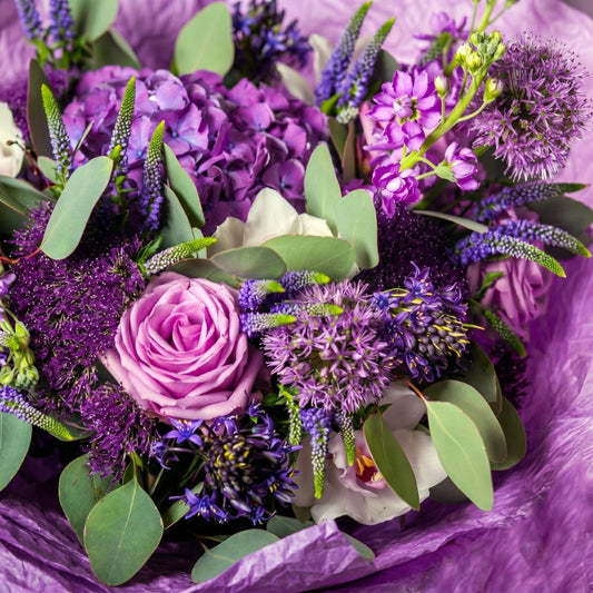 Designer Choice - Jewel Tones