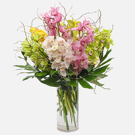 Pattaya Arrangement with pink, yellow, and white orchids in a tall glass vase, available with same-day Manhattan & NYC flower delivery.