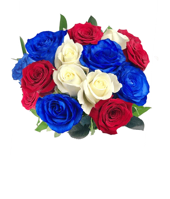 Red, White, and Blue Roses - Black Petals