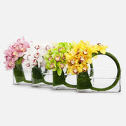 Four colorful Cymbidium orchid bouquets in clear rectangular vases with green leaf wrap on white background