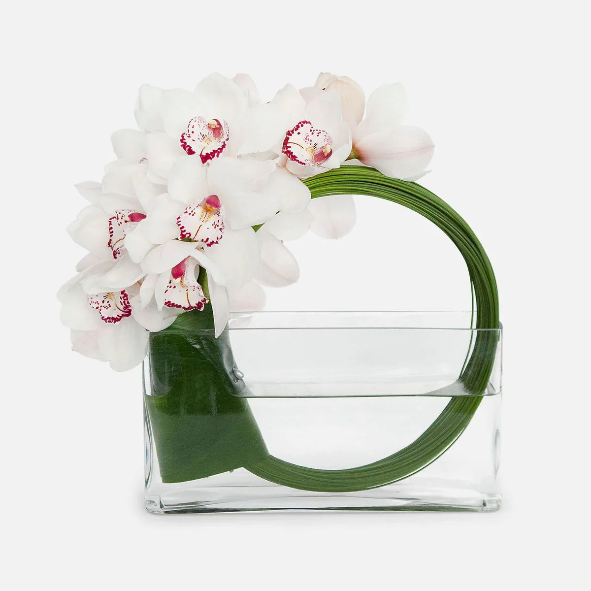Elegant white Cymbidium orchid bouquet with green stems in clear rectangular glass vase