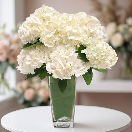 Ivory white hydrangea flower arrangement in a clear glass vase