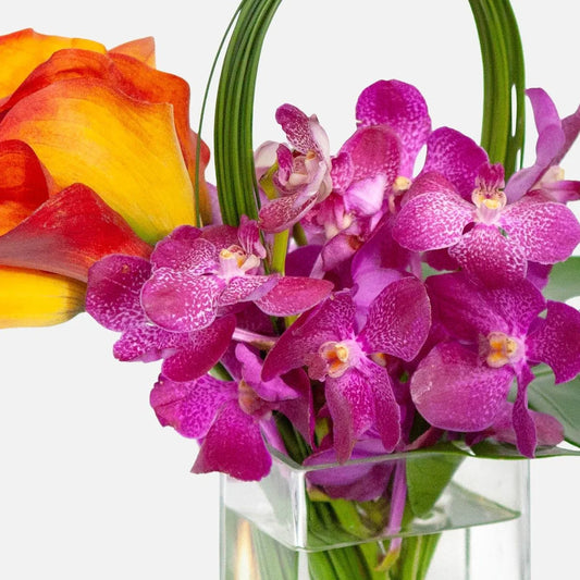 Amazing kona Flowers