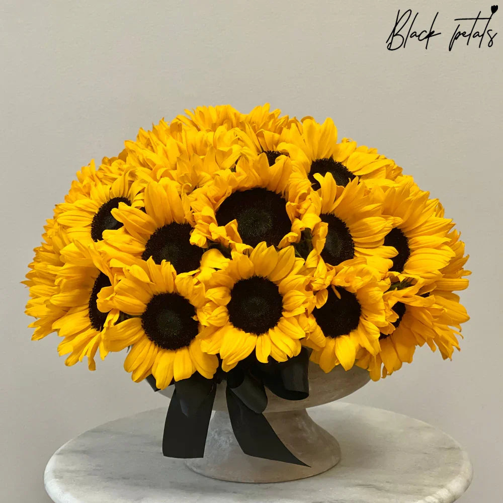 Pocketful Of Sunshine - Black Petals