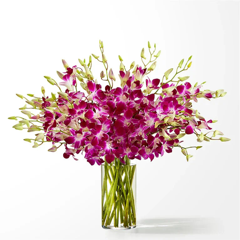 Positively Purple orchid bouquet with vibrant magenta and white flowers in clear glass vase