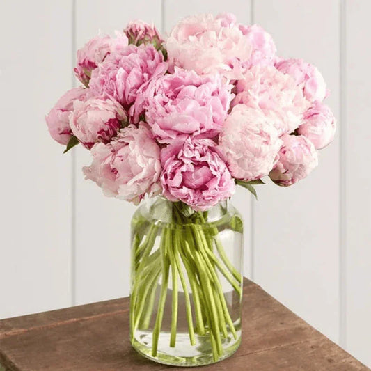 Precious Peony Bouquet by Black Petals - Black Petals