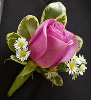 Purple rose boutonniere with white daisies and variegated green leaves on black fabric