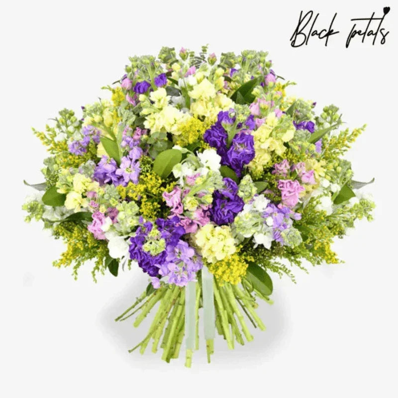 Scents Of Spring - Black Petals