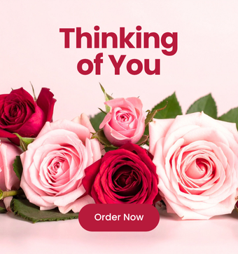 Promo Image