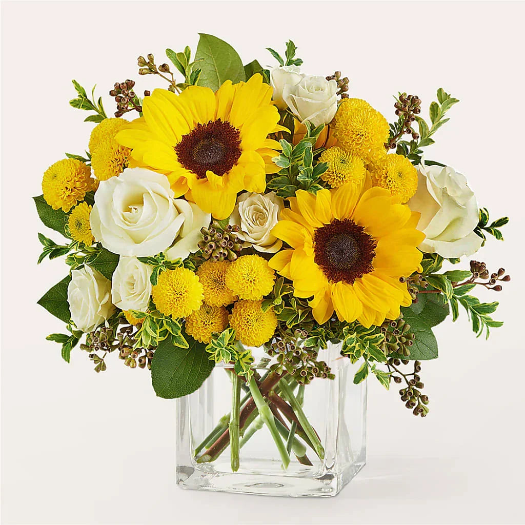 Bright bouquet with yellow sunflowers, white roses, yellow pom-pom flowers, and green foliage in a clear square vase