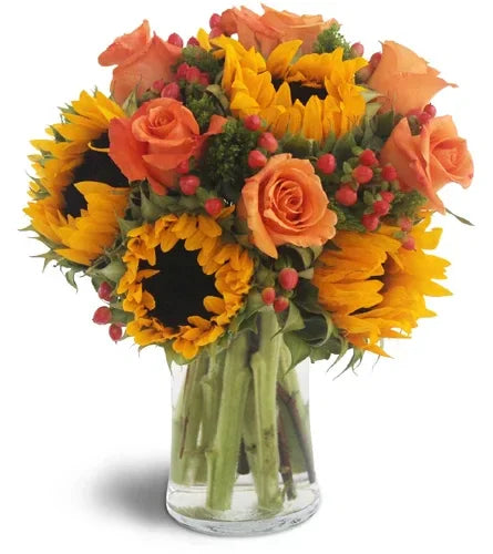 Sweet Harvest Sunflowers - Black Petals