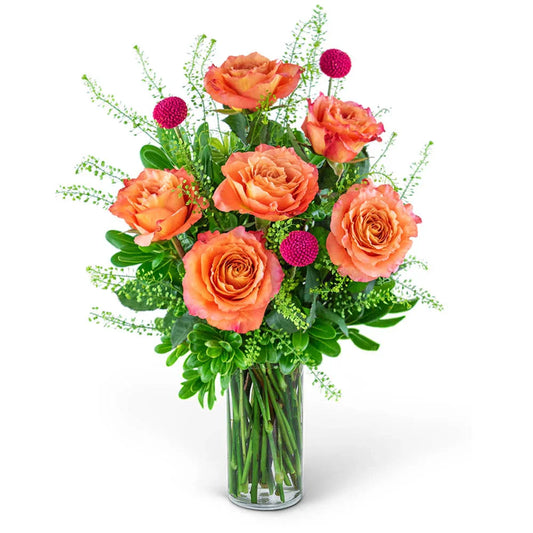Half Dozen Wild and Free Spirit Roses - Black Petals