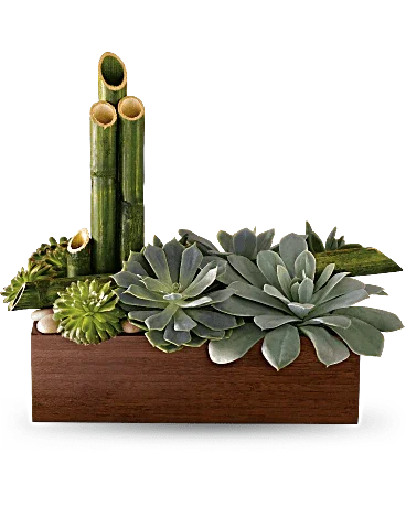 Black Petal's Peaceful Zen Garden - Black Petals