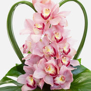 Pink orchid bouquet with heart-shaped green leaves and large tropical foliage