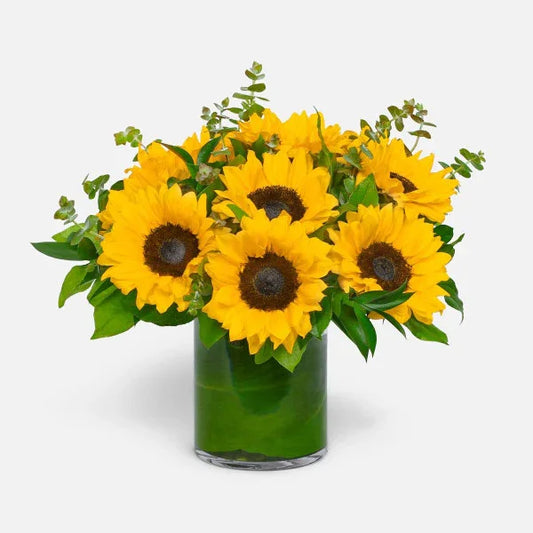 Sun Shower - Black Petals