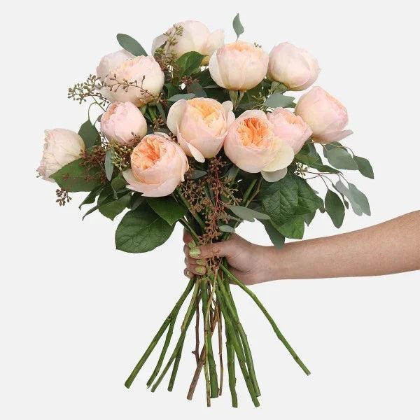 Blush Garden Rose Bouquet - Black Petals