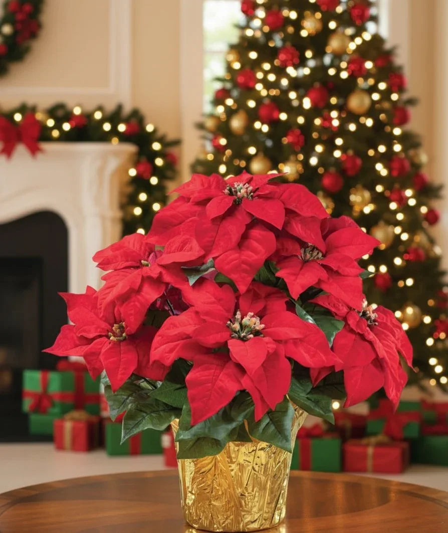Red poinsettia plant in gold foil pot on table with Christmas tree and decorated fireplace in background