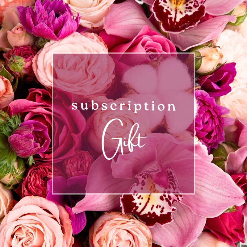 Subscription Gift
